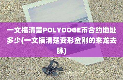 一文搞清楚POLYDOGE币合约地址多少(一文搞清楚变形金刚的来龙去脉)