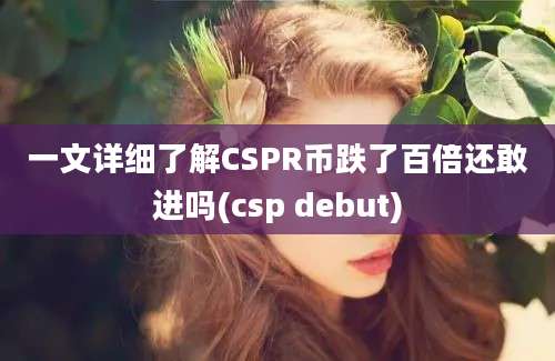 一文详细了解CSPR币跌了百倍还敢进吗(csp debut)