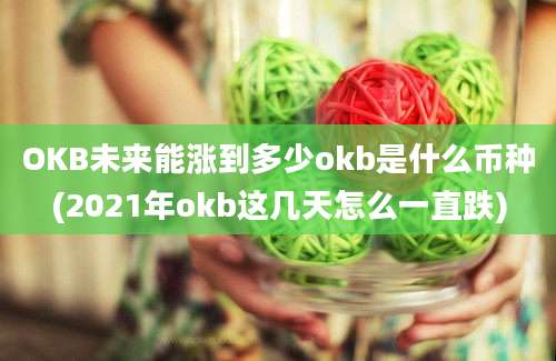 OKB未来能涨到多少okb是什么币种(2021年okb这几天怎么一直跌)