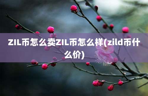 ZIL币怎么卖ZIL币怎么样(zild币什么价)