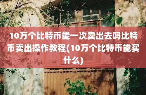 10万个比特币能一次卖出去吗比特币卖出操作教程(10万个比特币能买什么)