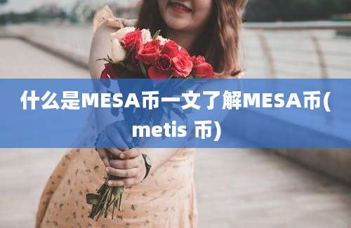 什么是MESA币一文了解MESA币(metis 币)