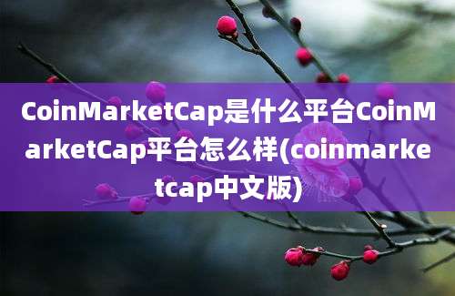 CoinMarketCap是什么平台CoinMarketCap平台怎么样(coinmarketcap中文版)