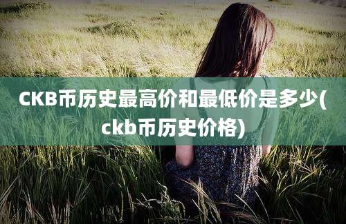 CKB币历史最高价和最低价是多少(ckb币历史价格)