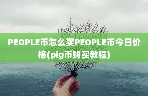 PEOPLE币怎么买PEOPLE币今日价格(pig币购买教程)