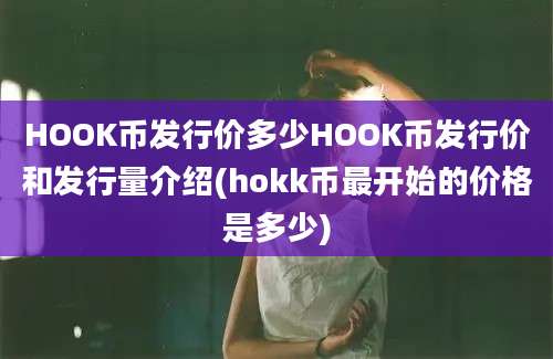 HOOK币发行价多少HOOK币发行价和发行量介绍(hokk币最开始的价格是多少)