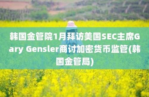 韩国金管院1月拜访美国SEC主席Gary Gensler商讨加密货币监管(韩国金管局)