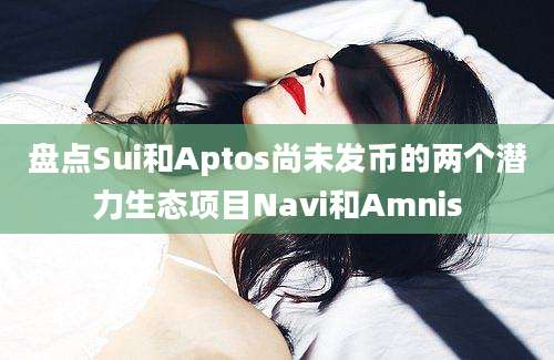 盘点Sui和Aptos尚未发币的两个潜力生态项目Navi和Amnis