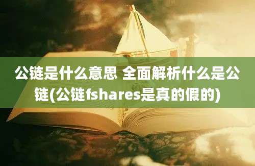 公链是什么意思 全面解析什么是公链(公链fshares是真的假的)