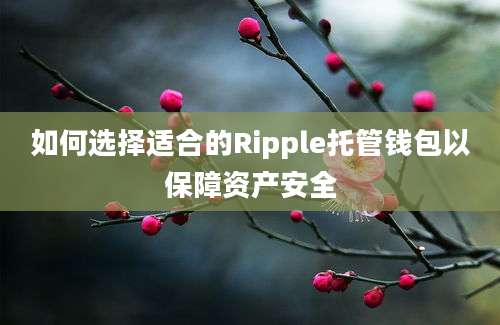 如何选择适合的Ripple托管钱包以保障资产安全