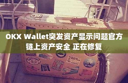 OKX Wallet突发资产显示问题官方链上资产安全 正在修复