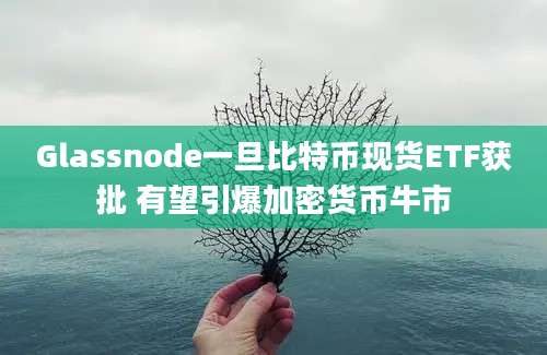 Glassnode一旦比特币现货ETF获批 有望引爆加密货币牛市