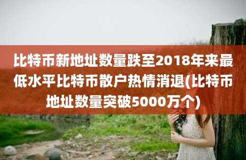 比特币新地址数量跌至2018年来最低水平比特币散户热情消退(比特币地址数量突破5000万个)