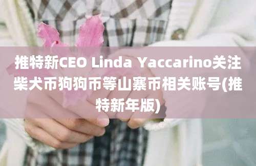 推特新CEO Linda Yaccarino关注柴犬币狗狗币等山寨币相关账号(推特新年版)