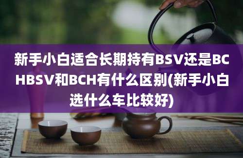 新手小白适合长期持有BSV还是BCHBSV和BCH有什么区别(新手小白选什么车比较好)