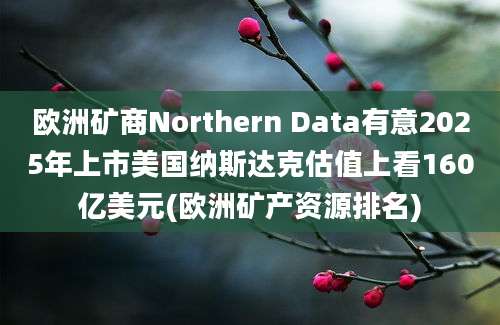 欧洲矿商Northern Data有意2025年上市美国纳斯达克估值上看160亿美元(欧洲矿产资源排名)