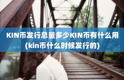 KIN币发行总量多少KIN币有什么用(kin币什么时候发行的)