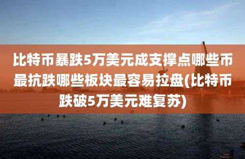 比特币暴跌5万美元成支撑点哪些币最抗跌哪些板块最容易拉盘(比特币跌破5万美元难复苏)