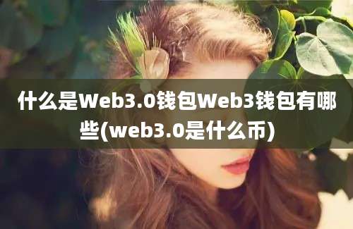 什么是Web3.0钱包Web3钱包有哪些(web3.0是什么币)