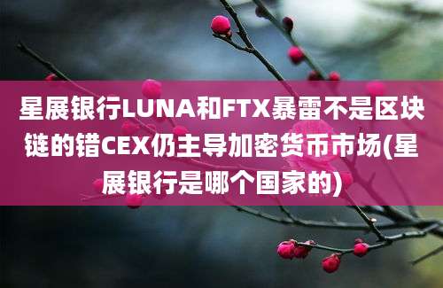 星展银行LUNA和FTX暴雷不是区块链的错CEX仍主导加密货币市场(星展银行是哪个国家的)