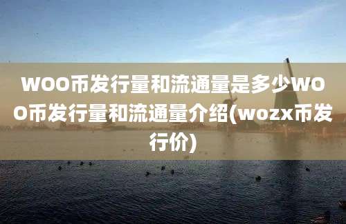 WOO币发行量和流通量是多少WOO币发行量和流通量介绍(wozx币发行价)