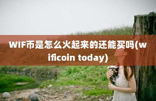 WIF币是怎么火起来的还能买吗(wificoin today)