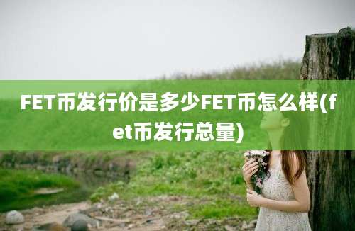 FET币发行价是多少FET币怎么样(fet币发行总量)