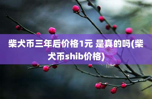 柴犬币三年后价格1元 是真的吗(柴犬币shib价格)