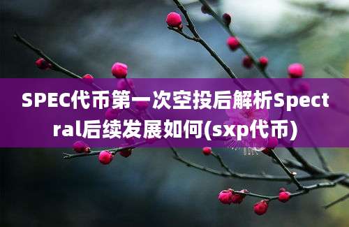 SPEC代币第一次空投后解析Spectral后续发展如何(sxp代币)