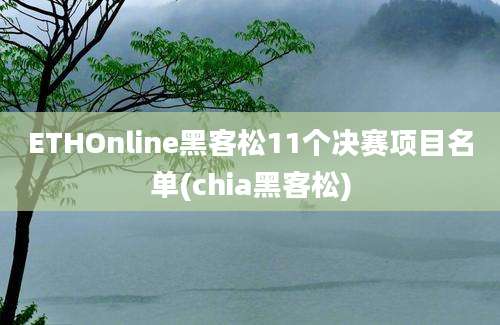 ETHOnline黑客松11个决赛项目名单(chia黑客松)