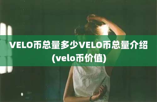 VELO币总量多少VELO币总量介绍(velo币价值)