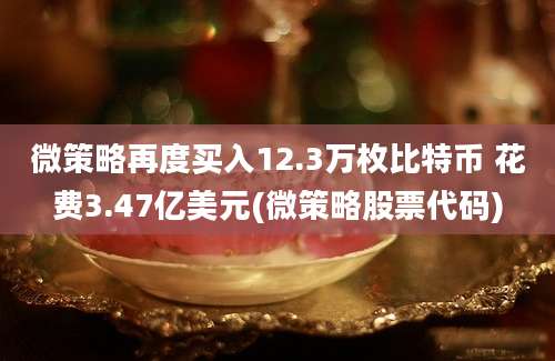 微策略再度买入12.3万枚比特币 花费3.47亿美元(微策略股票代码)