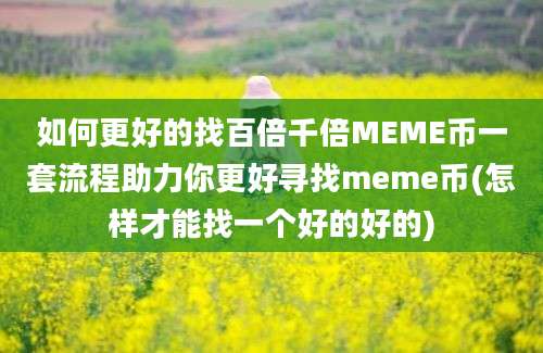 如何更好的找百倍千倍MEME币一套流程助力你更好寻找meme币(怎样才能找一个好的好的)