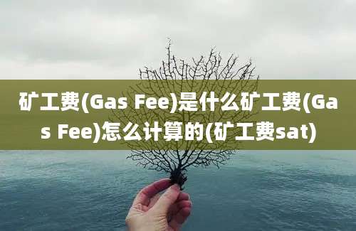 矿工费(Gas Fee)是什么矿工费(Gas Fee)怎么计算的(矿工费sat)