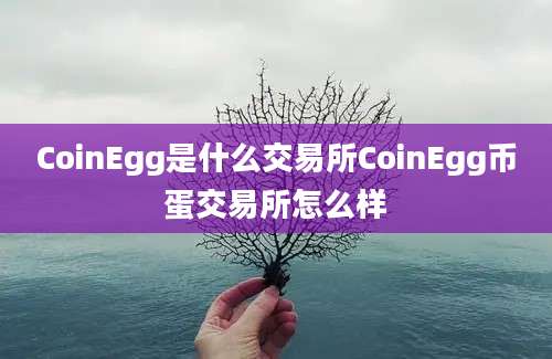 CoinEgg是什么交易所CoinEgg币蛋交易所怎么样