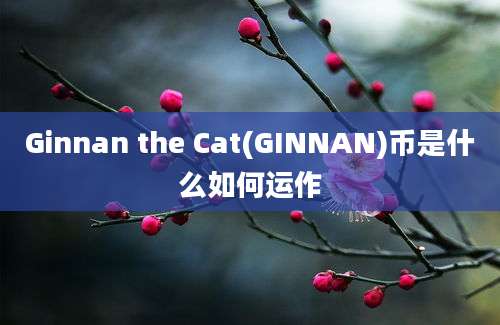 Ginnan the Cat(GINNAN)币是什么如何运作