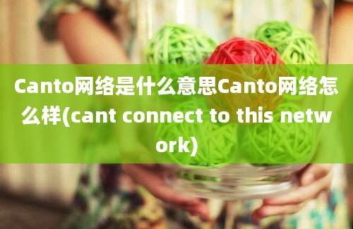 Canto网络是什么意思Canto网络怎么样(cant connect to this network)