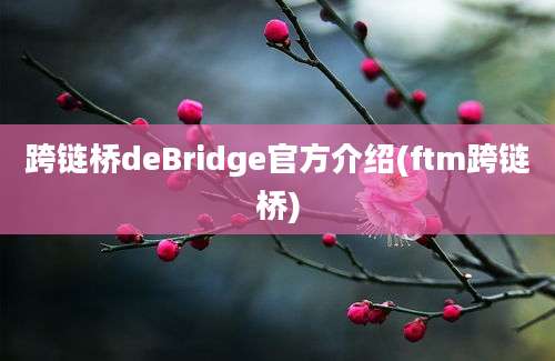 跨链桥deBridge官方介绍(ftm跨链桥)