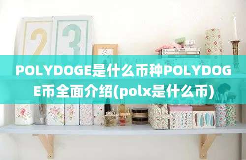 POLYDOGE是什么币种POLYDOGE币全面介绍(polx是什么币)