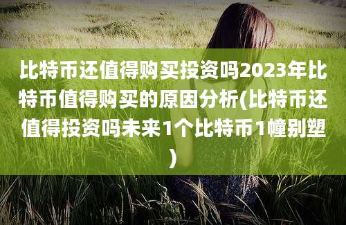 比特币还值得购买投资吗2023年比特币值得购买的原因分析(比特币还值得投资吗未来1个比特币1幢别塑)