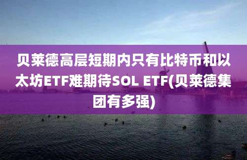 贝莱德高层短期内只有比特币和以太坊ETF难期待SOL ETF(贝莱德集团有多强)