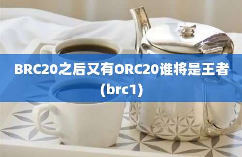 BRC20之后又有ORC20谁将是王者(brc1)