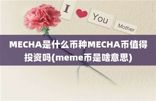 MECHA是什么币种MECHA币值得投资吗(meme币是啥意思)