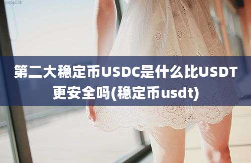 第二大稳定币USDC是什么比USDT更安全吗(稳定币usdt)