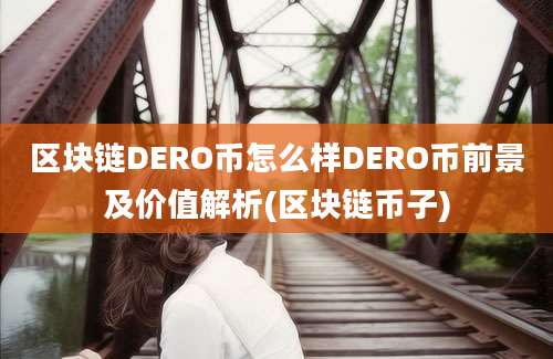 区块链DERO币怎么样DERO币前景及价值解析(区块链币子)