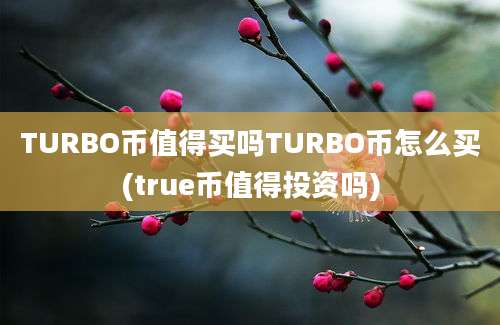 TURBO币值得买吗TURBO币怎么买(true币值得投资吗)