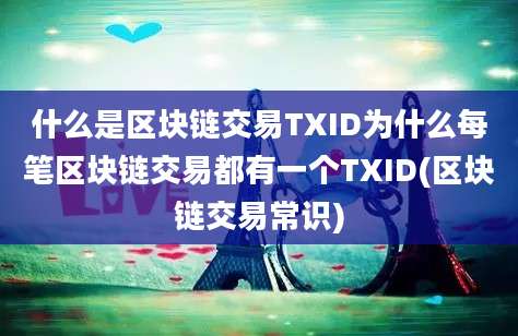 什么是区块链交易TXID为什么每笔区块链交易都有一个TXID(区块链交易常识)