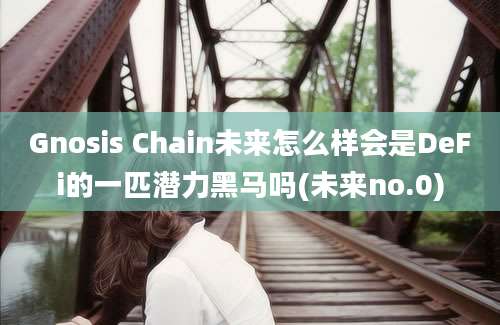 Gnosis Chain未来怎么样会是DeFi的一匹潜力黑马吗(未来no.0)