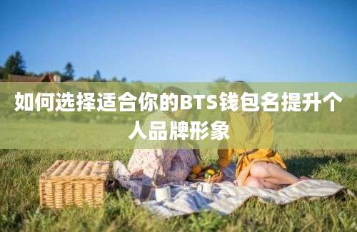 如何选择适合你的BTS钱包名提升个人品牌形象