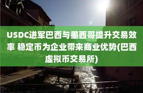 USDC进军巴西与墨西哥提升交易效率 稳定币为企业带来商业优势(巴西虚拟币交易所)